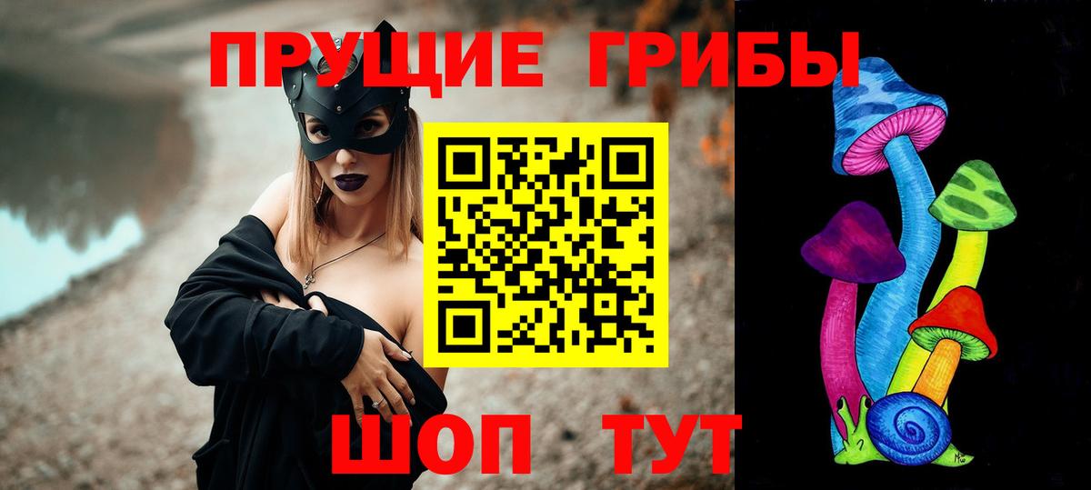 Псилоцибиновые грибы Psilocybine cubensis Туймазы